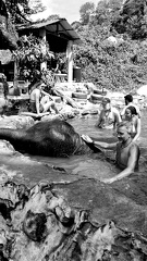 Vacances Thaïlande